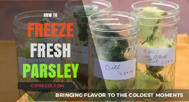 Preserve the Flavor: A Simple Guide to Freezing Fresh Parsley