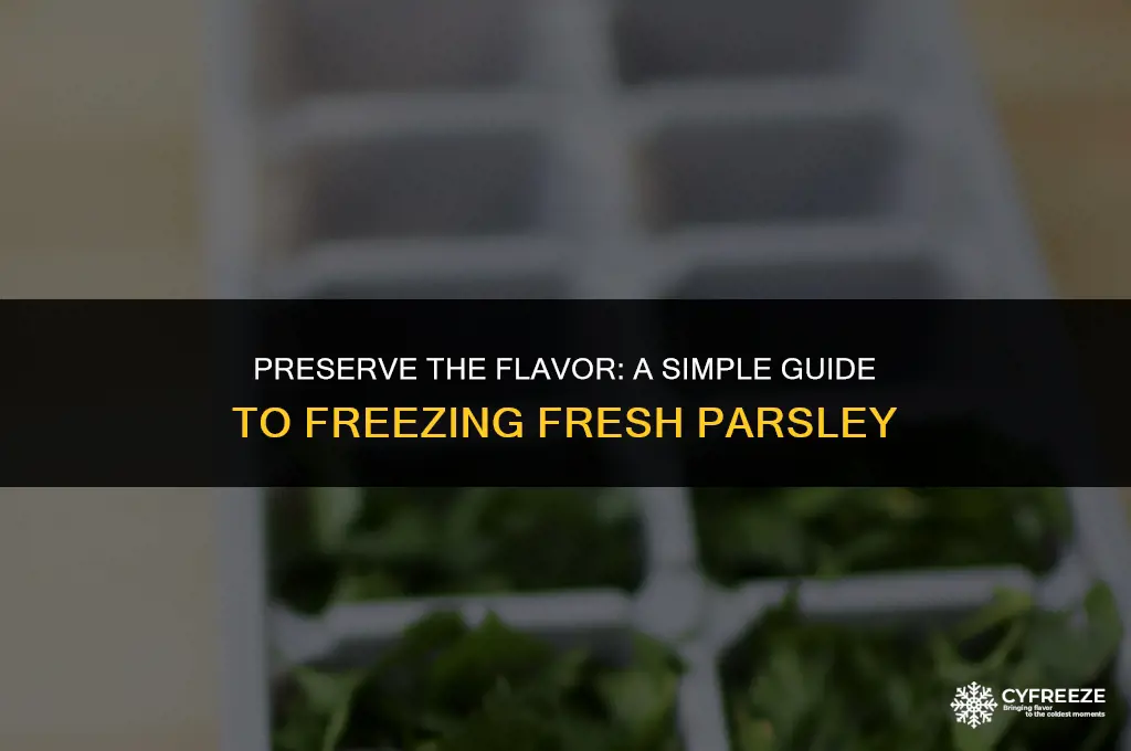 how to freeze fresh parsley
