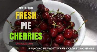 Preserving Summer's Sweetness: A Guide to Freezing Fresh Pie Cherries