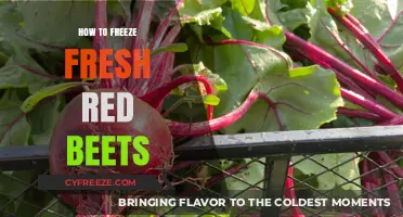 Preserving Nature's Bounty: A Guide to Freezing Fresh Red Beets