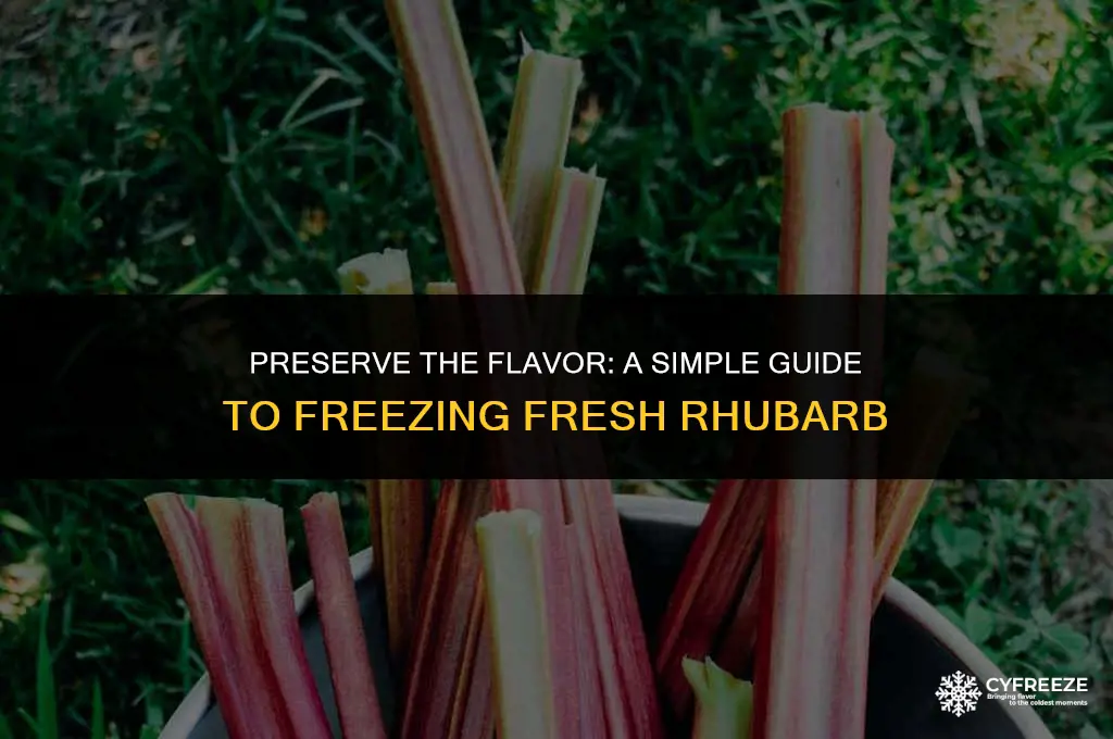how to freeze fresh rhubarb
