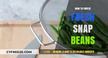 Preserve the Flavor: A Guide to Freezing Fresh Snap Beans
