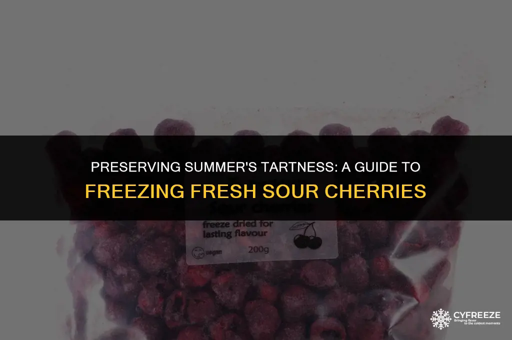 how to freeze fresh sour cherries