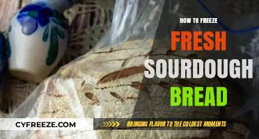 Preserving Perfection: A Guide to Freezing Fresh Sourdough Bread