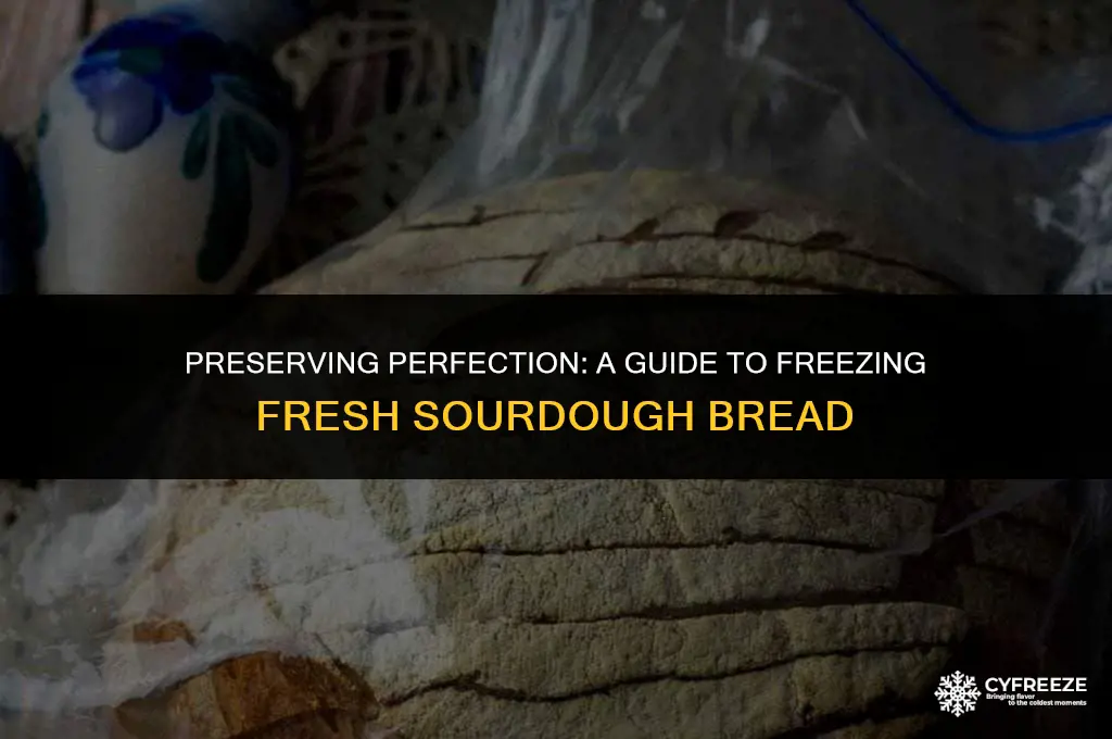 how to freeze fresh sourdough bread