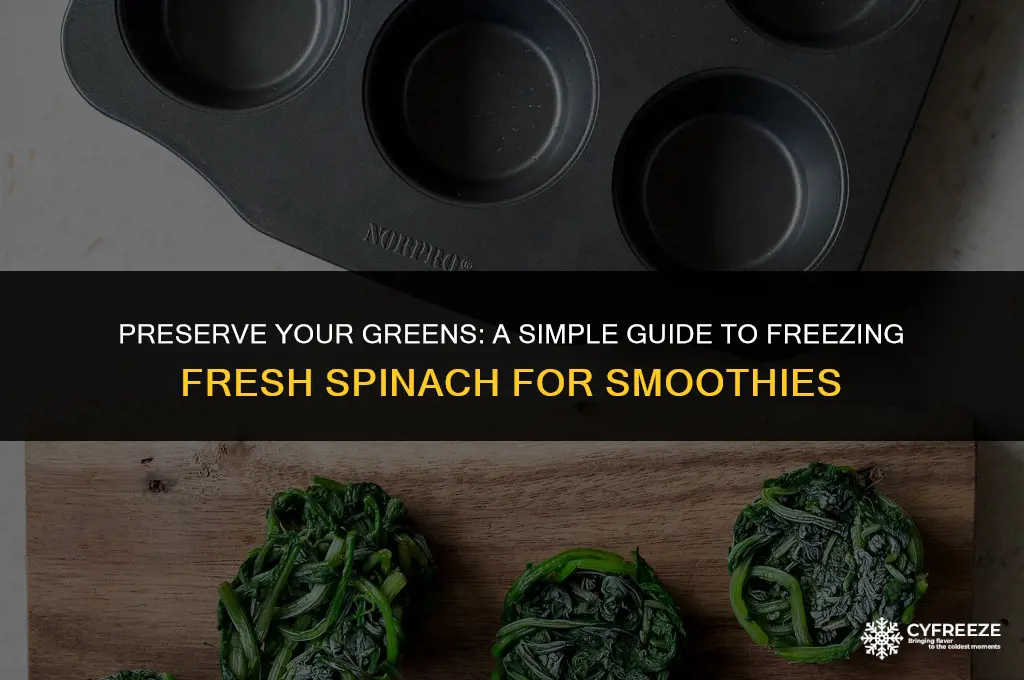 how to freeze fresh spinach for smoothies