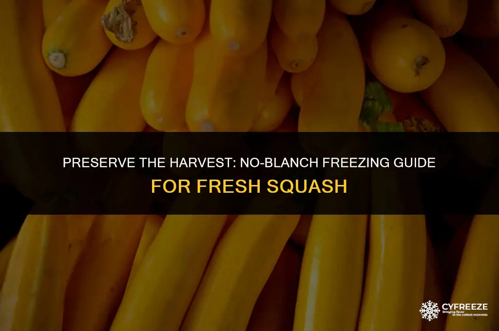 how to freeze fresh squash without blanching