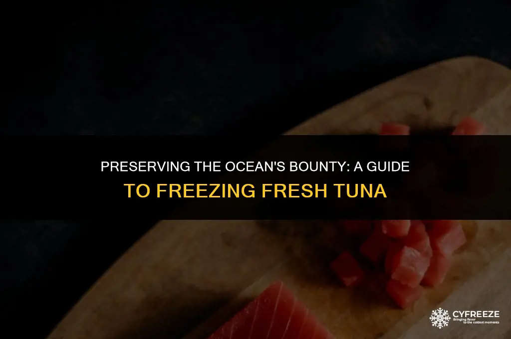 how to freeze fresh tuna