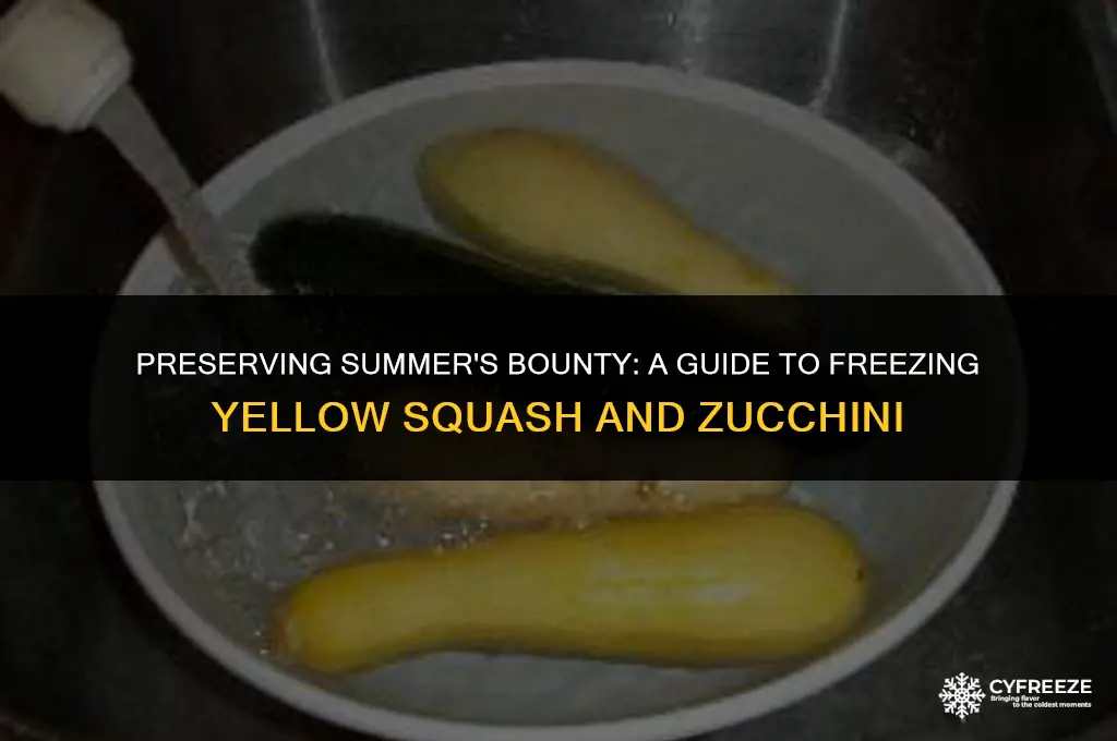 how to freeze fresh yellow squash and zucchini