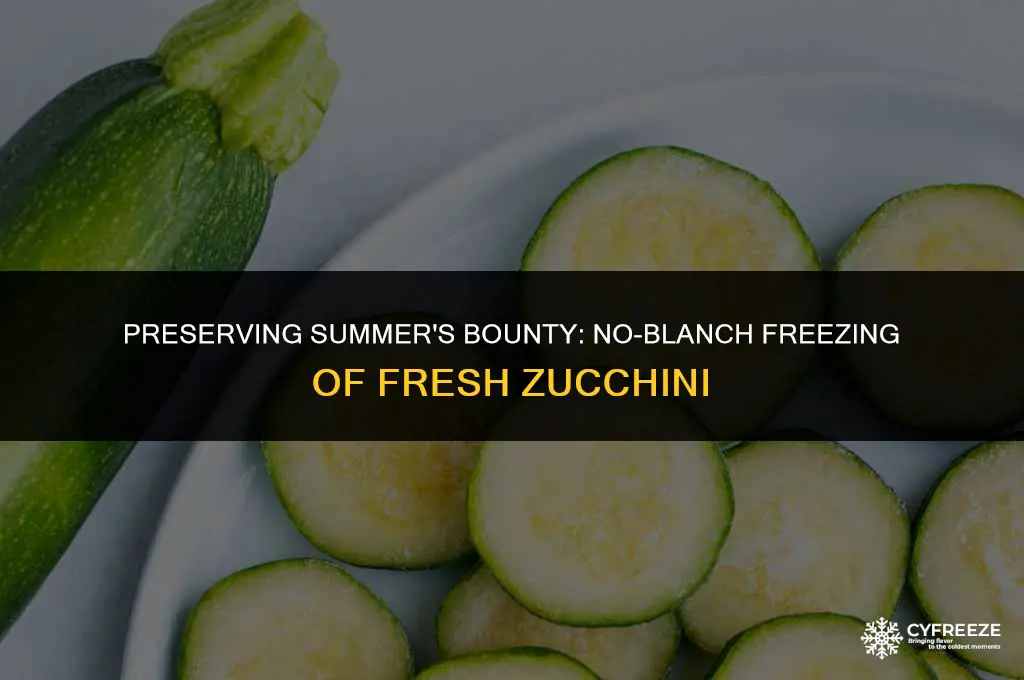 how to freeze fresh zucchini without blanching
