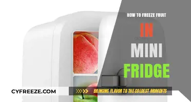 Compact Cooling: The Ultimate Guide to Freezing Fruit in a Mini Fridge