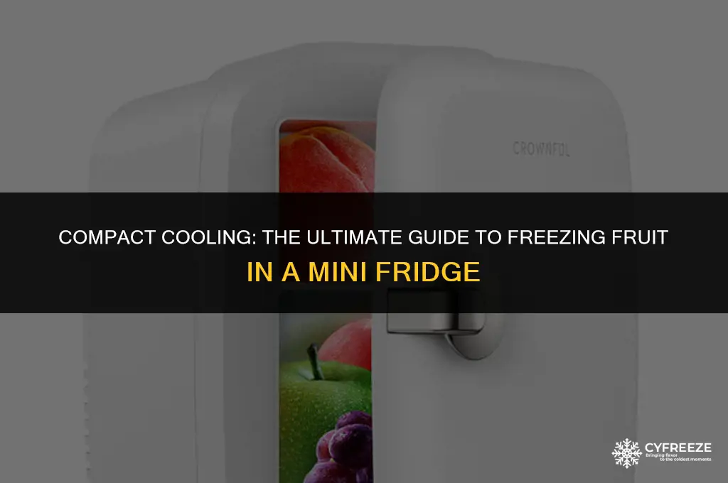 how to freeze fruit in mini fridge