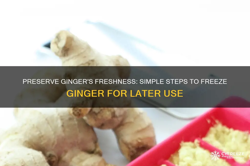 how to freeze ginger for later use