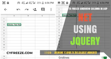 Freeze GridView Columns in ASP.NET with jQuery: A Simple Guide