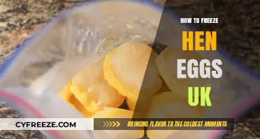 Preserving Freshness: A Guide to Freezing Hen Eggs in the UK