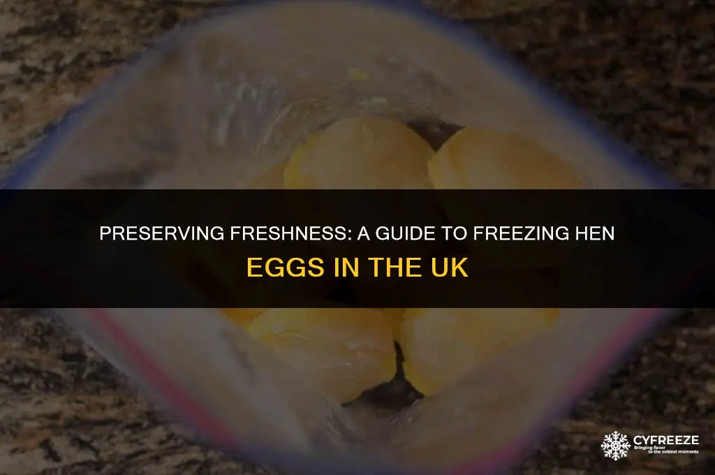 how to freeze hen eggs uk
