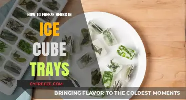 Preserve Freshness: A Simple Guide to Freezing Herbs in Ice Cube Trays