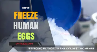 Preserving Fertility: A Comprehensive Guide to Freezing Human Eggs