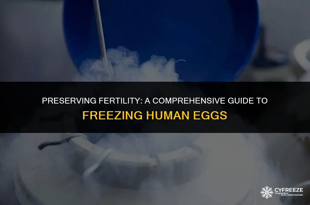 how to freeze human eggs