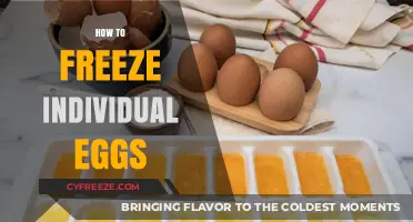 Egg-cellent Preservation: A Step-by-Step Guide to Freezing Individual Eggs