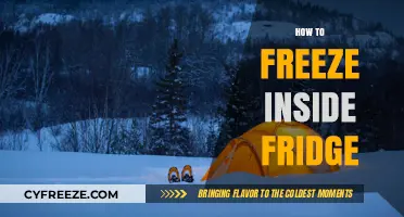 Mastering the Art of Freezing: A Comprehensive Guide