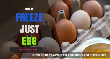 Mastering the Art of Freezing Eggs: A Simple Guide