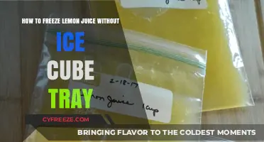 Easy Ways to Freeze Lemon Juice Without an Ice Cube Tray