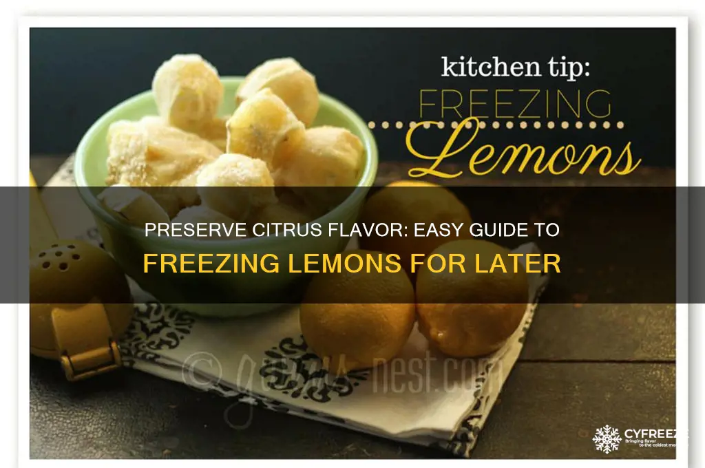 how to freeze lemons for future use