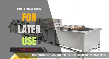 Easy Steps to Freeze Mango for Freshness and Convenience