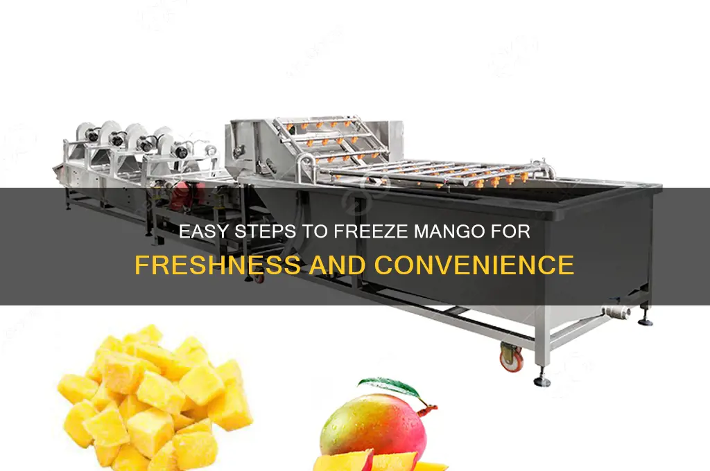 how to freeze mango for later use