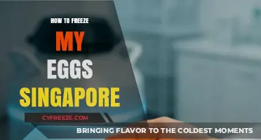 Preserving Fertility: A Guide to Egg Freezing in Singapore