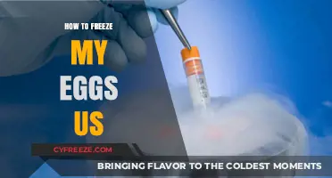 Preserving Fertility: A Comprehensive Guide to Egg Freezing in the US