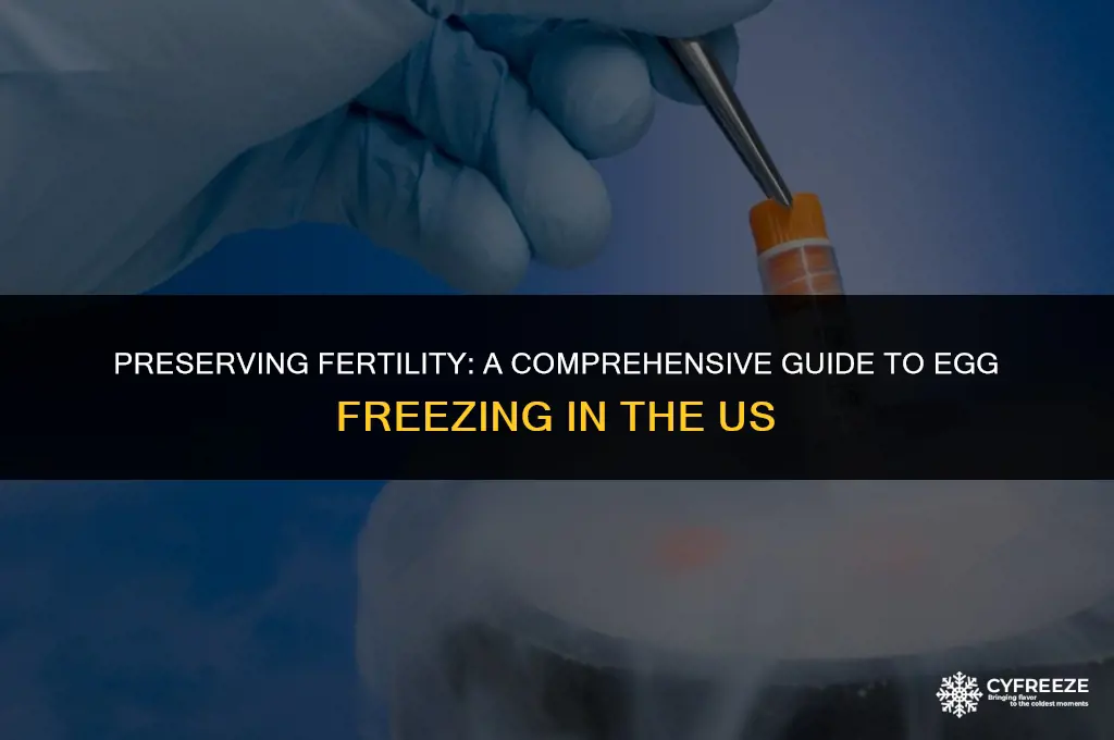 how to freeze my eggs us