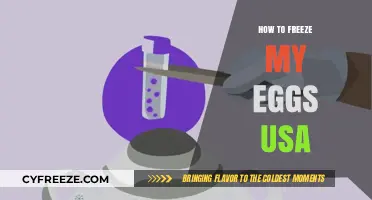 Egg Freezing in the USA: A Comprehensive Guide to Preserving Fertility