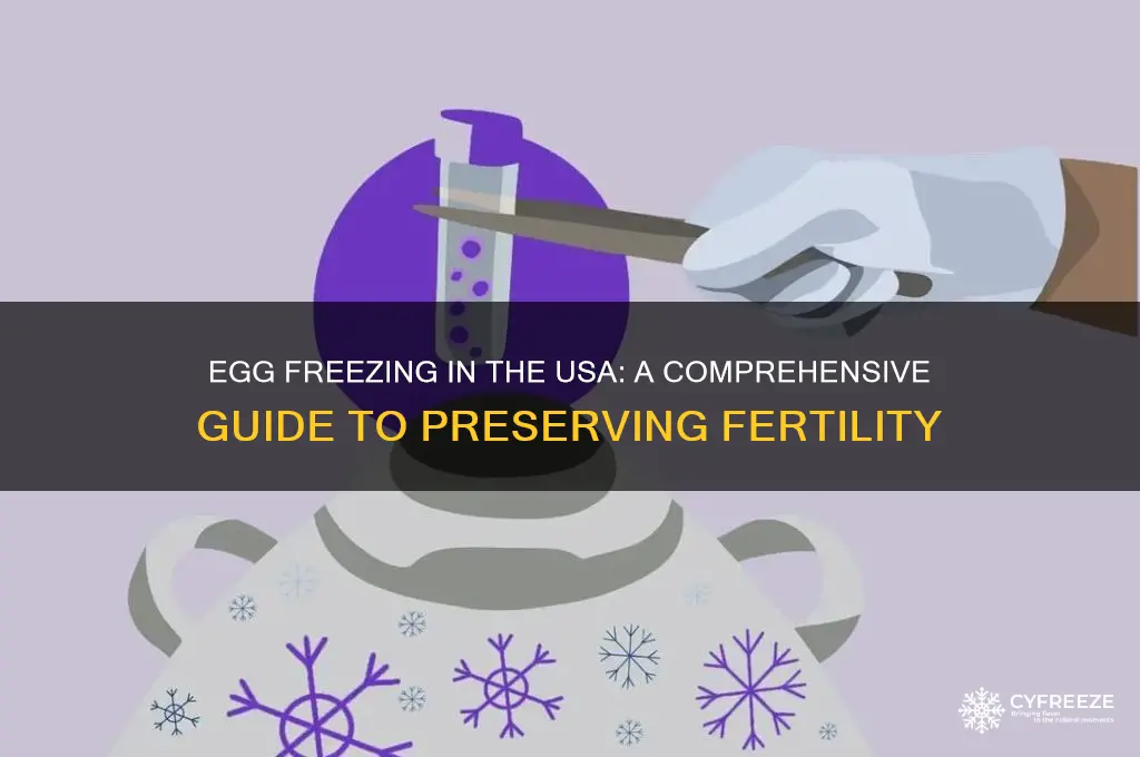 how to freeze my eggs usa