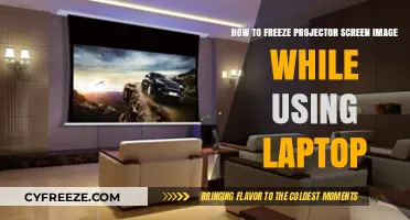 Freeze Projector Screen Image: A Simple Laptop Setup Guide
