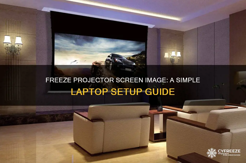 how to freeze projector screen image while using laptop