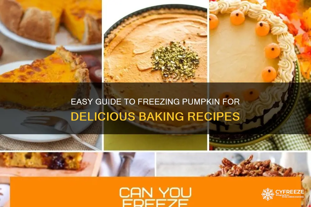 how to freeze pumpkin to use it for baking