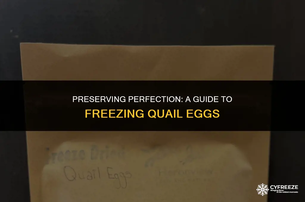 how to freeze quail eggs