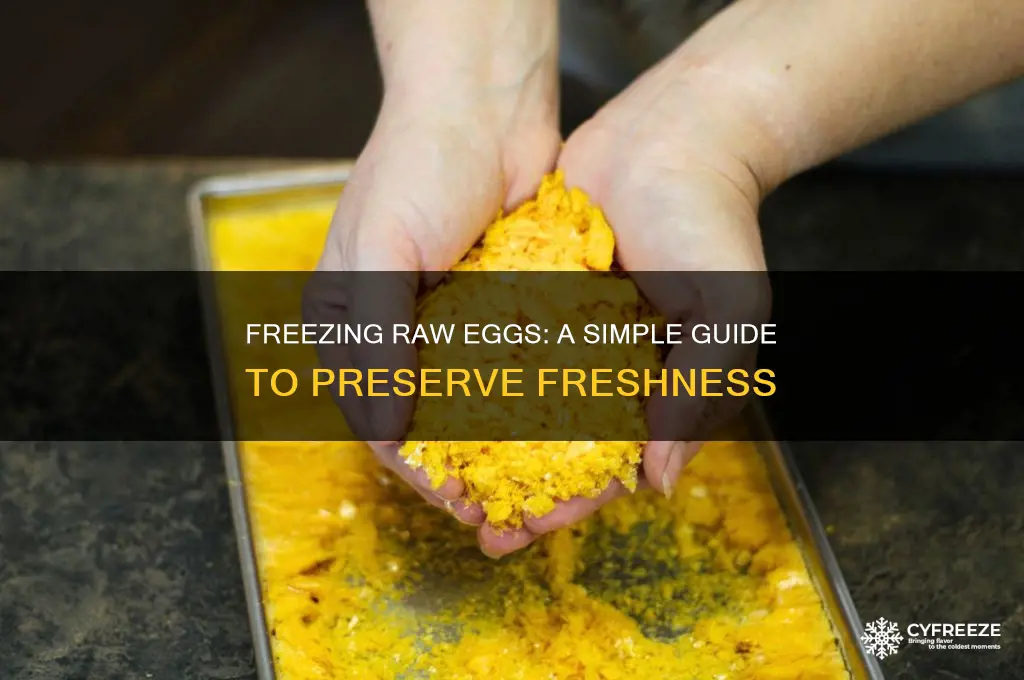 how to freeze raw eggs