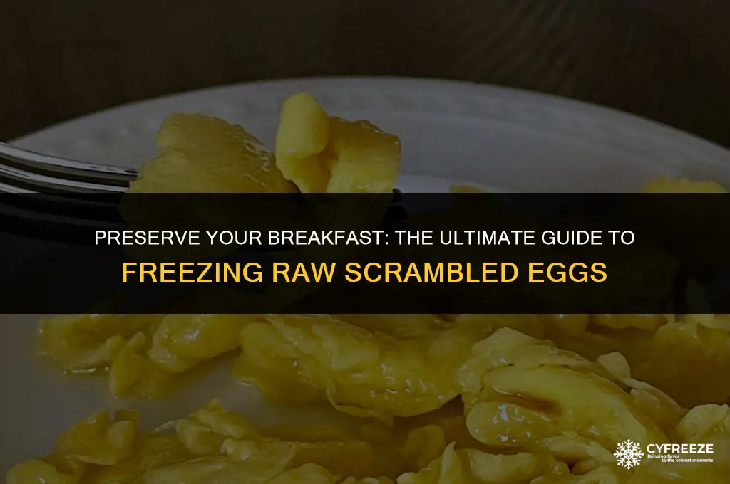 how to freeze raw scrambled eggs