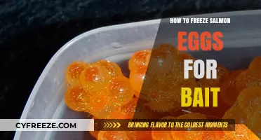 Mastering the Art of Freezing Salmon Eggs for Effective Bait