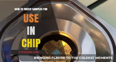 Mastering Sample Preservation: Effective Freezing Techniques for Chip Applications