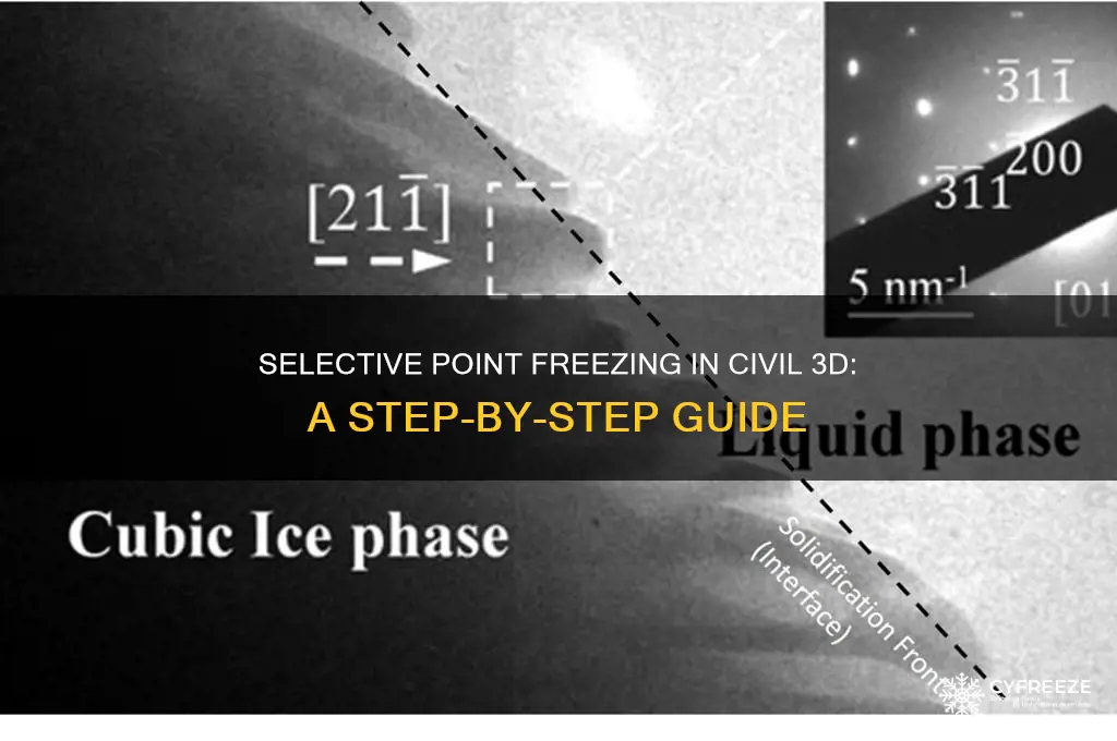 how to freeze some points but not all civil 3d