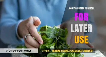 Easy Guide to Freezing Spinach for Freshness and Convenience