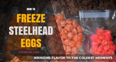 Preserving the Catch: A Guide to Freezing Steelhead Eggs