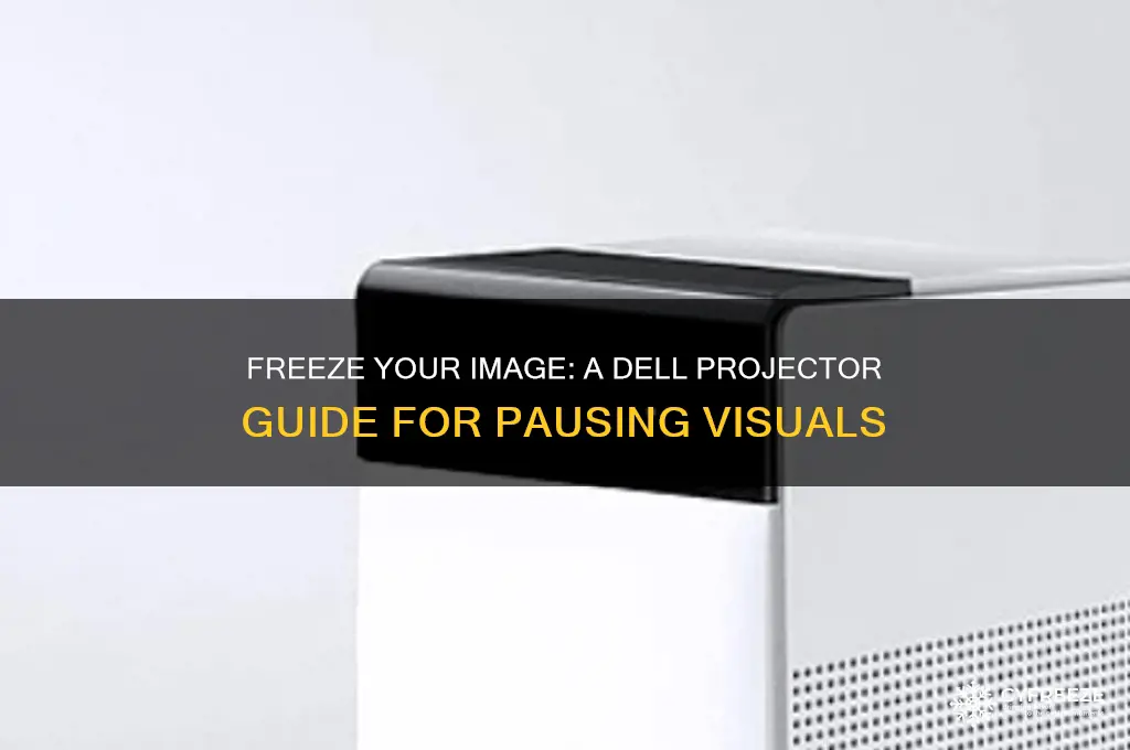 how to freeze the image using a dell projector