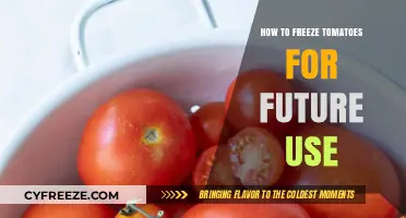 Easy Guide to Freezing Tomatoes for Freshness and Convenience