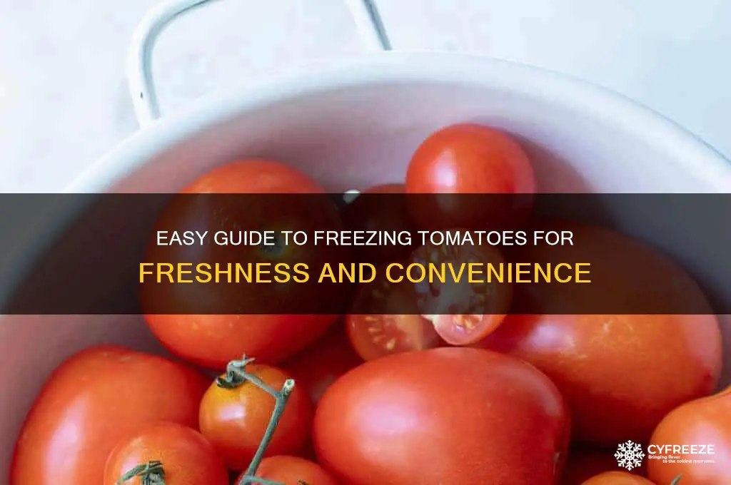 how to freeze tomatoes for future use