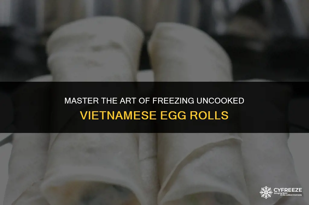 how to freeze uncooked vietnamese egg rolls